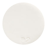 Porcelain Clay P2 25 Kg